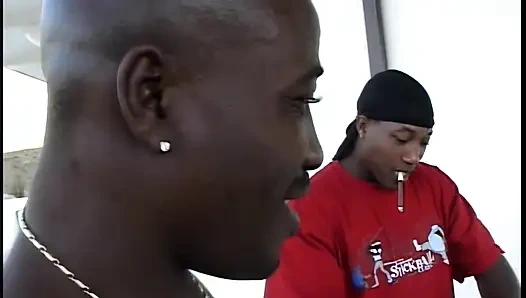 From Africa 4 Stallions Just for Jenni