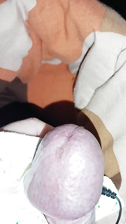 Procjena za 2025. 01