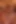 İki harika biseksüel orta yaşlı seksi kadın dildolarla mastürbasyon yapıyor sonra sikiliyor ve büyük klasik yarakla ağzına boşalıyor