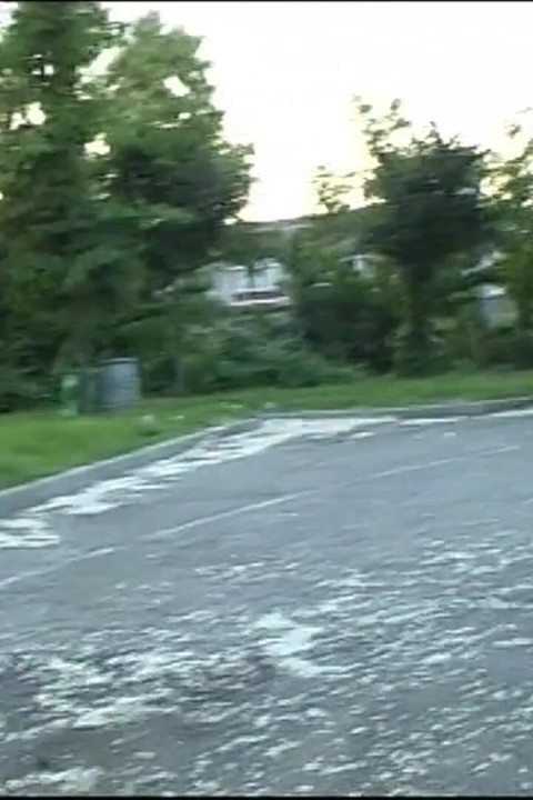 A puta porca captichoso.
