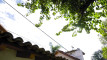 Pratinjau video