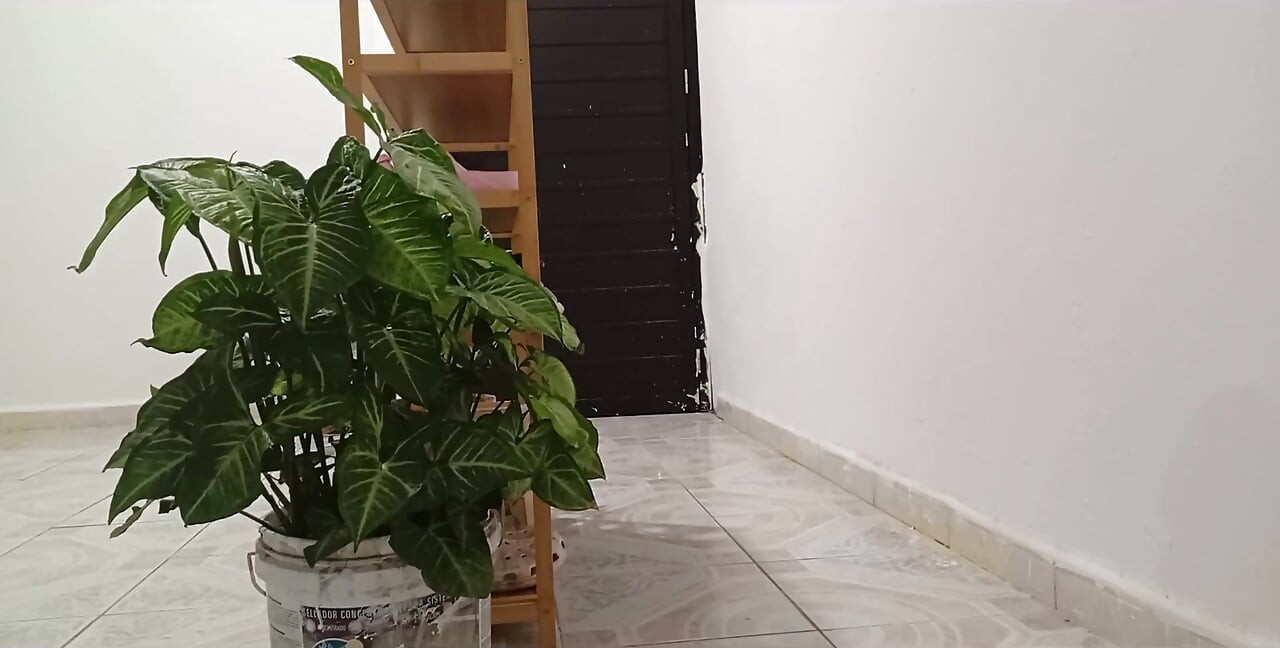 Chubby Neighbor Cleaning Her New Apartment