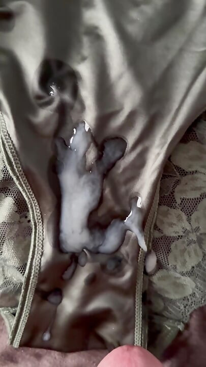Cum on Wife’s Panties 14