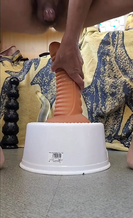 Pilihan dildo