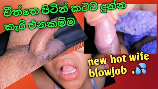 Srilanka new hot wife blowjob Moment
