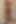 BBW Morning Routine, Toilet and Yoga Farts