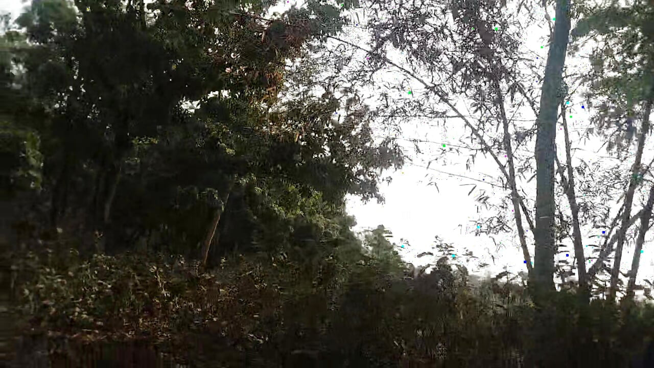 Forest public indian boy and handjob