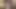 Intimate Close-Ups: Passionate Dildo Masturbation