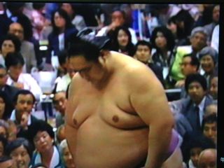 Největší břišní zápasník sumo onokuni 1