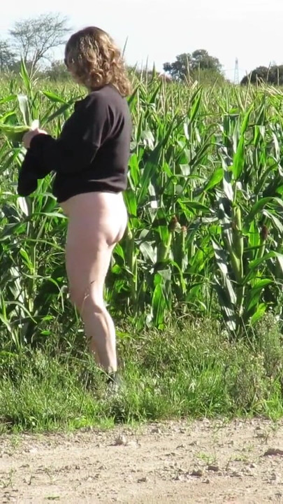 Patricia in Corn Field | Clip 2