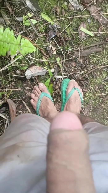 Nezaobilazan trenutak iz filma "Veliki kurac razbija u vrtu"