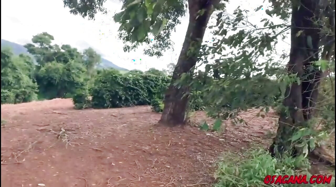 Beautiful Young Girl with Dreads Fucks Inside the Coffee Plantation