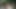 隣人にショーを与え、彼をファック
