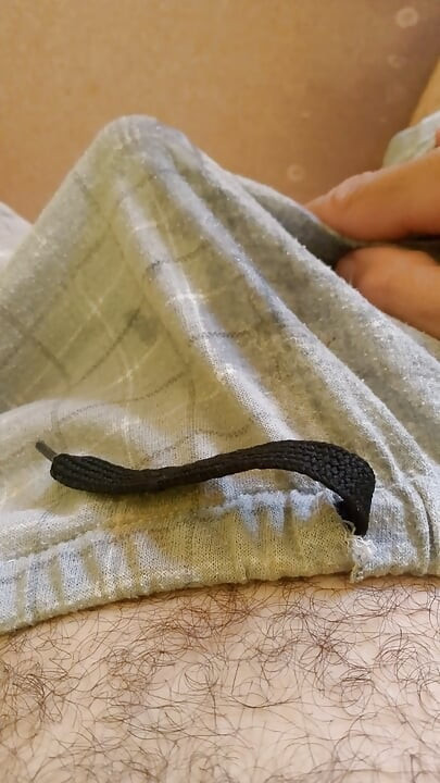 An erect cock. Waiting for a big ass