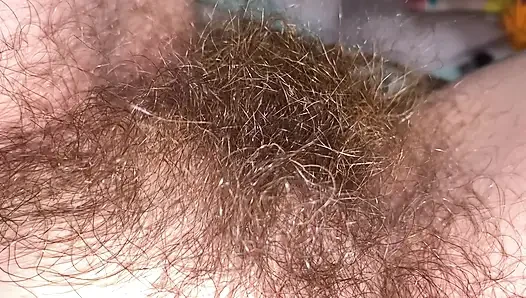 Ich bürste meinen busch