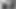 Forest PEE Grayscale