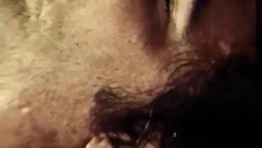 Секс вчетвером, трахаю, лизание киски в позе 69