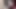Indian desi Muslim girl wearing hijab took her step brother's dick in her mouth