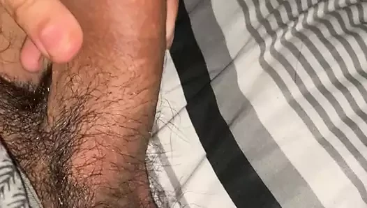 Sert horoz hazır için u