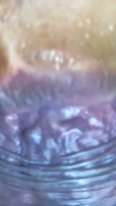 Thrilling moment from "Bhabhi sucking cock in very romantic mood and take huge cumshhot in mouth"