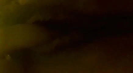 MI NOVIA SUECA 3