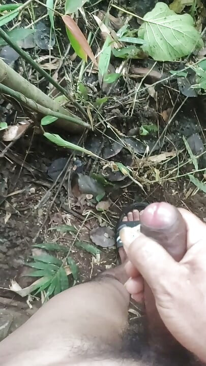 Soksoka in jungle