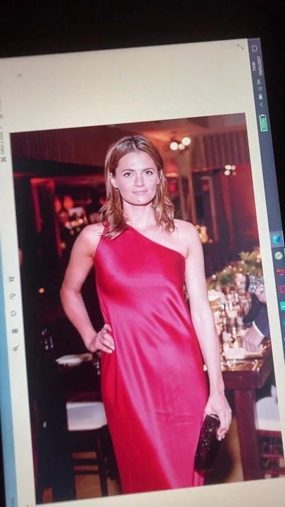 Tribute stana Katic