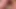 Daddy Bear Fat Cock Cumpilation Oct 24