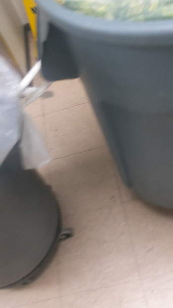 シーワッツ・ヒドゥン