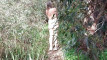 Pratinjau video