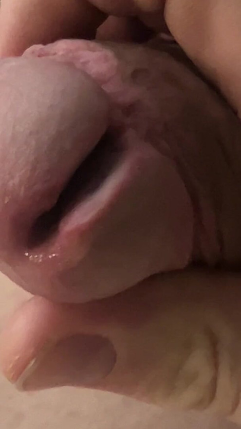 Loud big cock meatotomy jerking
