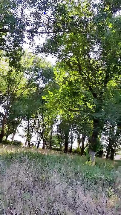 Ekshibicionistička kraljica