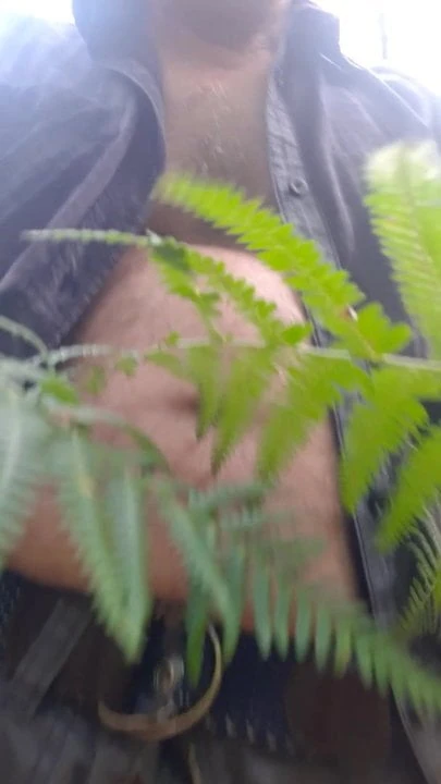 In the wood