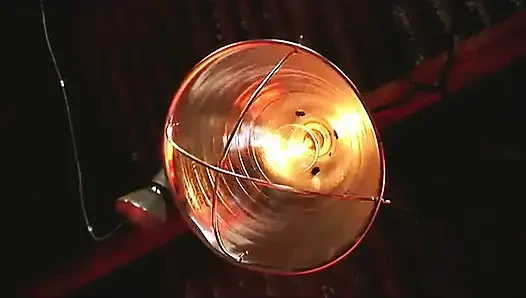 Pirang terangsang disetubuhi saat cewek mereka diikat duduk di sebelahnya