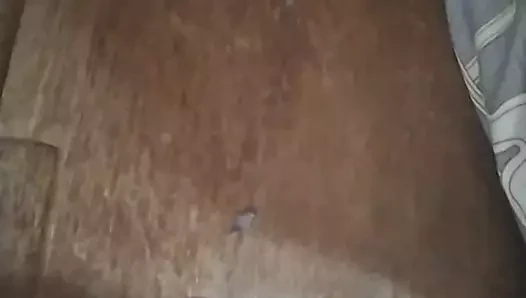 horoz son sperm