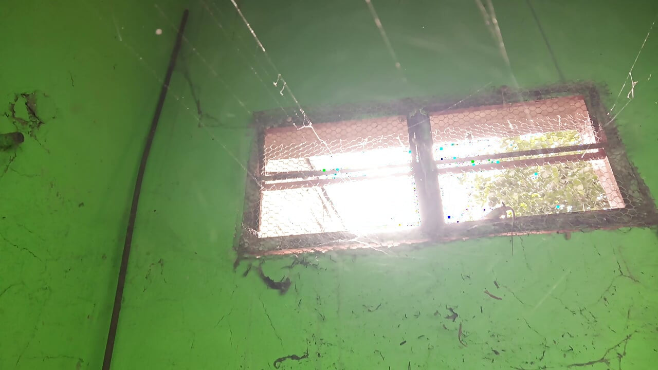 Eu encontro uma casa abandonado e aproveito a oportunidade