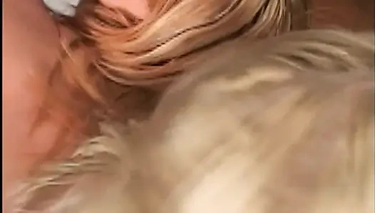 Так много членов сразу - мечта