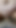 Iconic moment from "My BBW Busty STEPMOM Let Me Fuck Her In Secret - POV - DOGGY"