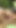 Mutlaka görülmeli an "Lezbiyen gençler emme kapalı onların klitorisleri ve açık havada o anal delikler poking"