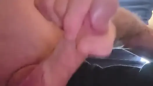 Bir döl üfle