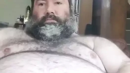 Tombul baba ayı dölü