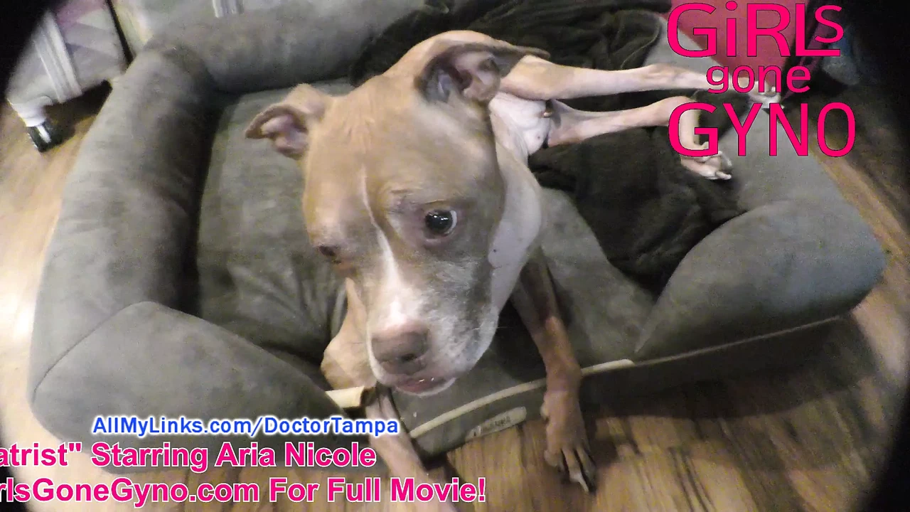 来自 Aria Nicole 的变态足病医生的 Sfw 非裸体 Bts，解释和庆祝，在Girlsgonegyno.Com