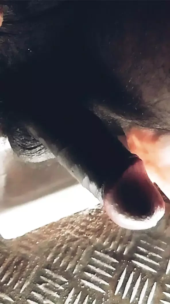 Desi boy ka Mota Kala lund