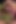 Hot Host Scene-1 Latino Friends Fuck Each Other's Asses in the Forest