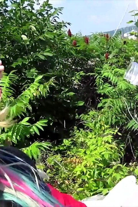 BlowMePOV - Picnic handjob