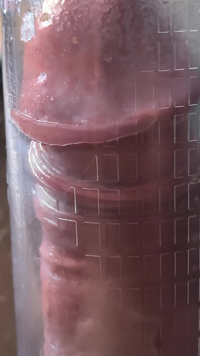 pumpavag masturbace