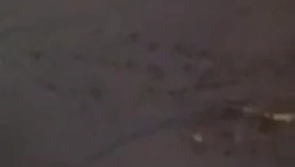 Büyük boşalmam