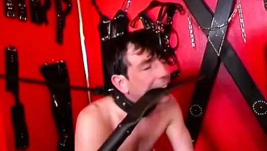Dominant MILFs Pegging Collared Slaves with Thick Strap-ons
