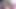 ALL ANAL Jesse Pony and Nadia Noja's anal fuckfest