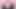 Miss Ruby Exposed and Enslaved: the Sissy's Downfall
